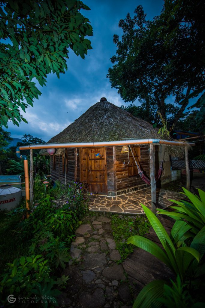 mayachikmainpicturecropped