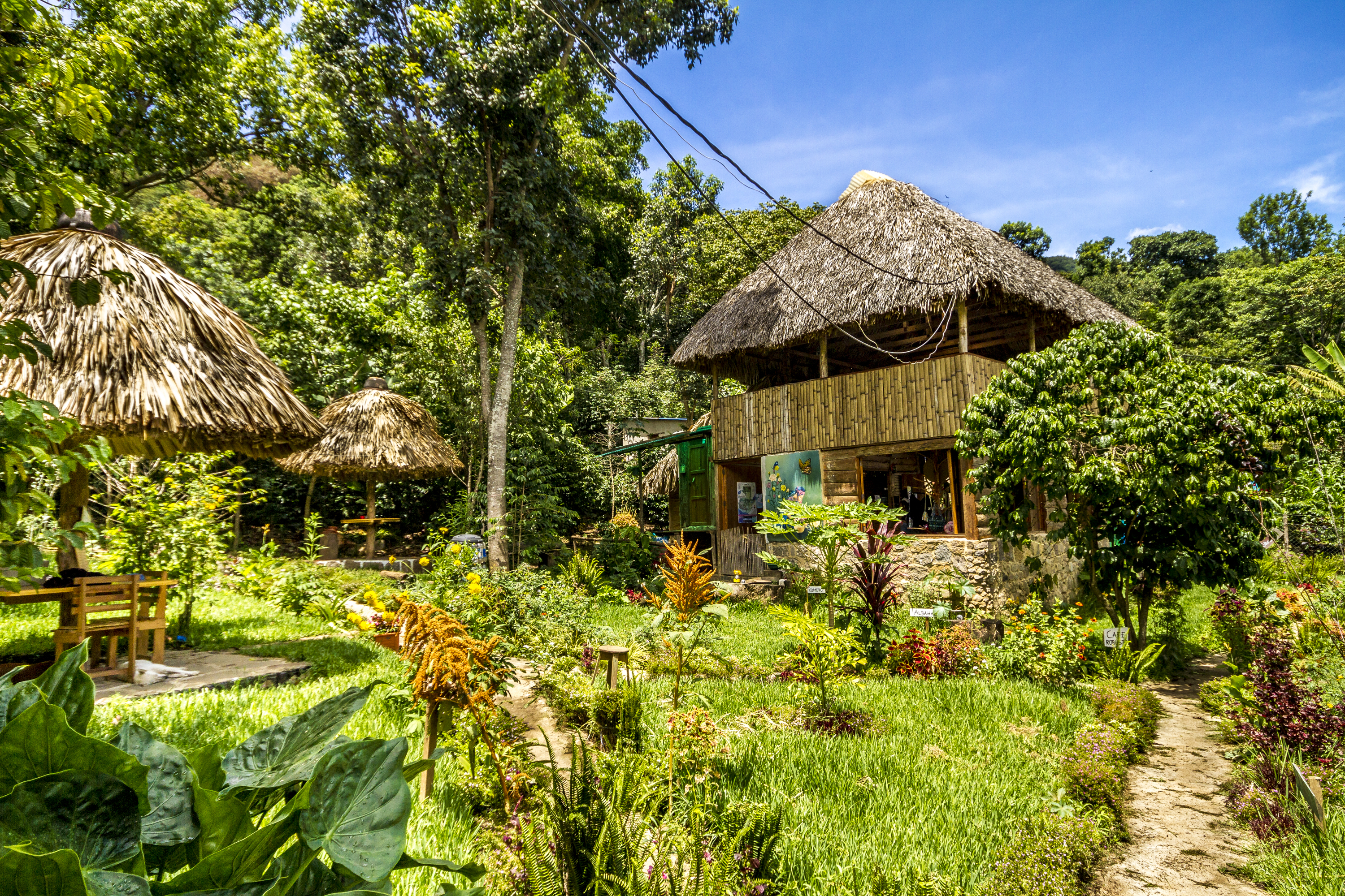 vista-al-restaurante