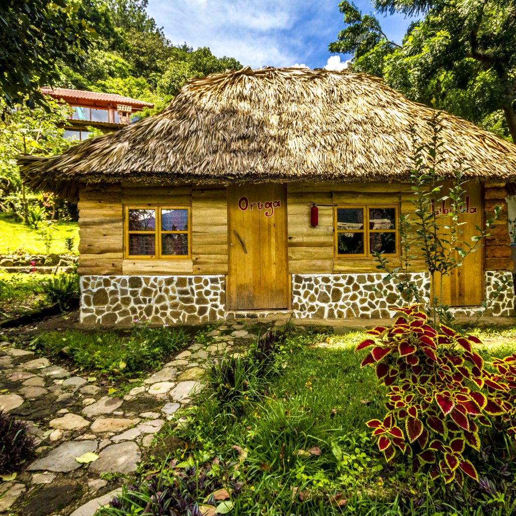 Bungalow-Libelula-y-Oruga
